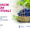 Kavacık Üzüm Festivali
