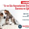 Evcil hayvan satıcılarına ücretsiz eğitim verilecek