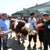 Karabağlar Belediyesi'nden Kurban Bayramı denetimleri