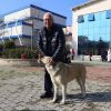 Can Dostlara Sağlıklı Hizmet