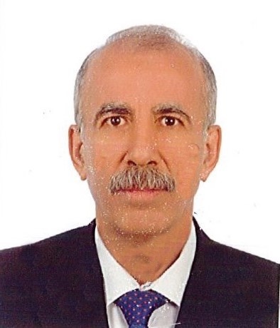 Muhtarlıklar