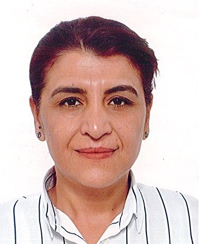 Muhtarlıklar